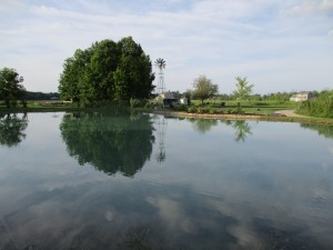 Our Pond Looking From the Beach