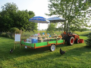 Our Farm Sales Wagon