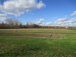 The back field is mowed.